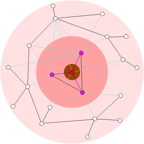 Figure 1 for Solving the undirected feedback vertex set problem by local search