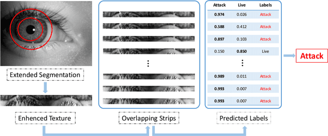 Figure 3 for Micro Stripes Analyses for Iris Presentation Attack Detection
