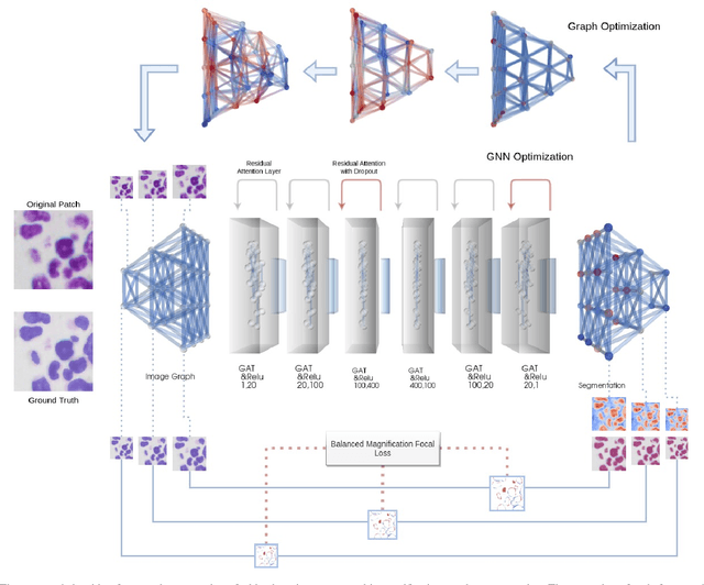 Figure 1 for Neuroplastic graph attention networks for nuclei segmentation in histopathology images