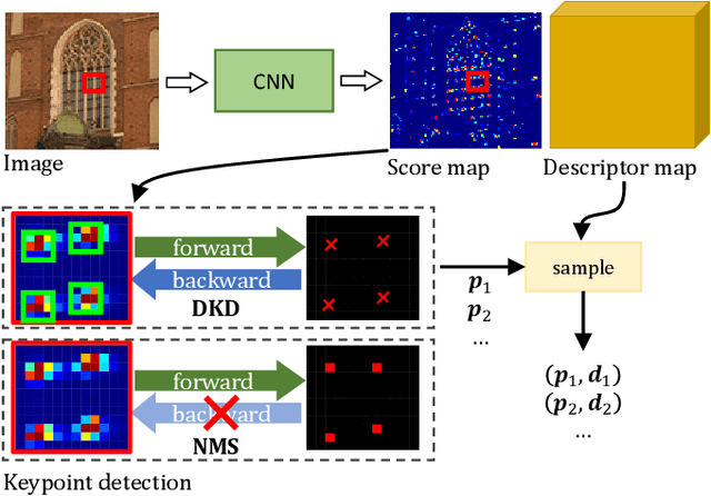 Figure 1 for ALIKE: Accurate and Lightweight Keypoint Detection and Descriptor Extraction