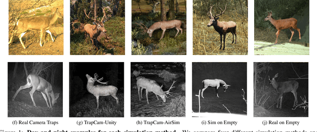 Figure 1 for Synthetic Examples Improve Generalization for Rare Classes