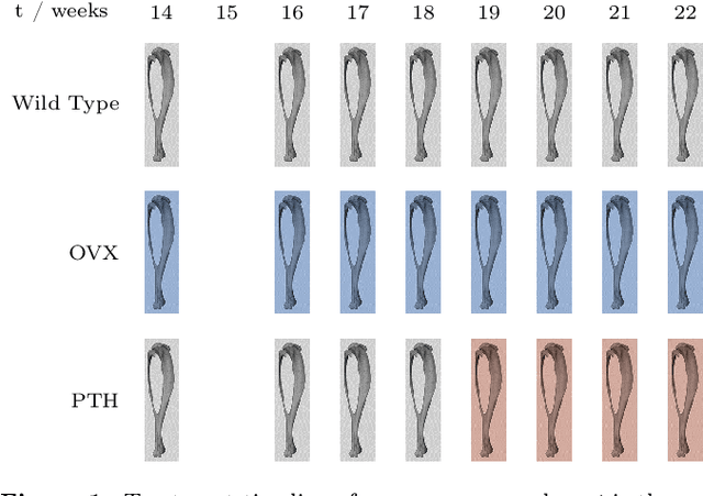 Figure 1 for ChronoMID - Cross-Modal Neural Networks for 3-D Temporal Medical Imaging Data