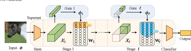 Figure 4 for DS-Net++: Dynamic Weight Slicing for Efficient Inference in CNNs and Transformers