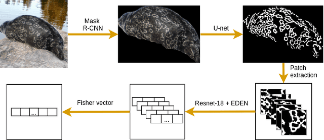 Figure 3 for EDEN: Deep Feature Distribution Pooling for Saimaa Ringed Seals Pattern Matching