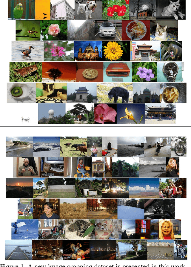 Figure 1 for Quantitative Analysis of Automatic Image Cropping Algorithms: A Dataset and Comparative Study