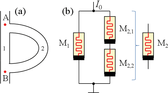 Figure 1 for Memcomputing and Swarm Intelligence