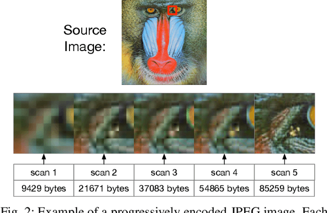Figure 2 for Characterizing and Taming Resolution in Convolutional Neural Networks