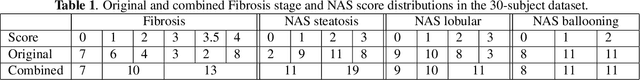 Figure 2 for Liver Fibrosis and NAS scoring from CT images using self-supervised learning and texture encoding
