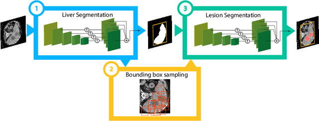 Figure 1 for Detection-aided liver lesion segmentation using deep learning