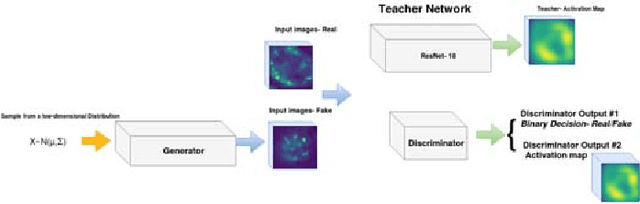 Figure 1 for Attention-Aware Generative Adversarial Networks (ATA-GANs)