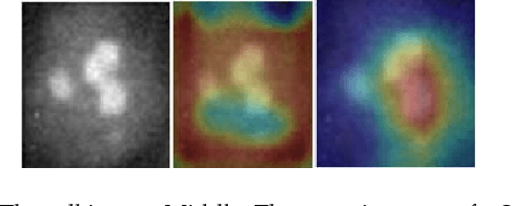 Figure 3 for Attention-Aware Generative Adversarial Networks (ATA-GANs)