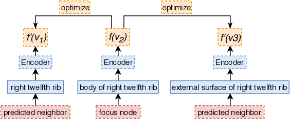 Figure 3 for Embedding Biomedical Ontologies by Jointly Encoding Network Structure and Textual Node Descriptors