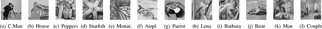 Figure 4 for Denoising Prior Driven Deep Neural Network for Image Restoration