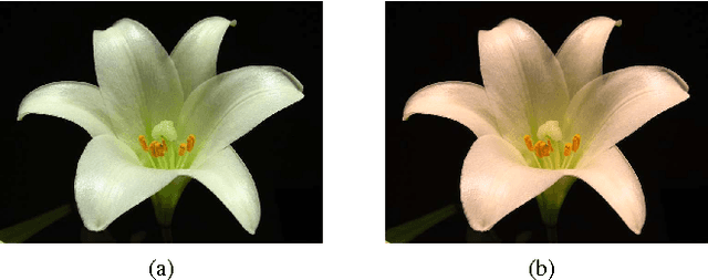 Figure 1 for Using the Random Sprays Retinex Algorithm for Global Illumination Estimation