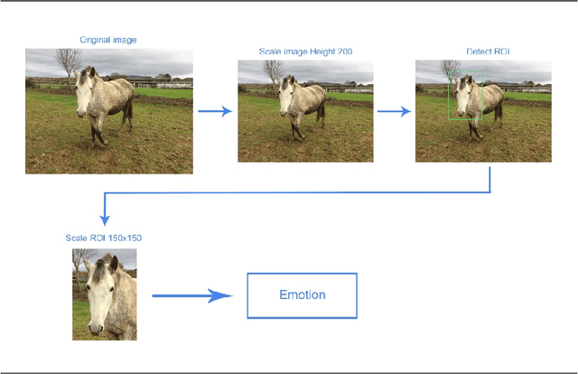 Figure 2 for Emotion Recognition in Horses with Convolutional Neural Networks