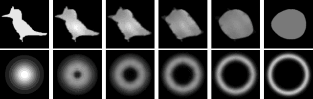 Figure 4 for The Euler-Poincare theory of Metamorphosis