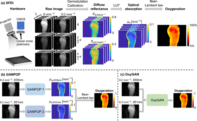 Figure 1 for Rapid tissue oxygenation mapping from snapshot structured-light images with adversarial deep learning