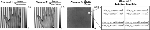 Figure 4 for Rapid tissue oxygenation mapping from snapshot structured-light images with adversarial deep learning