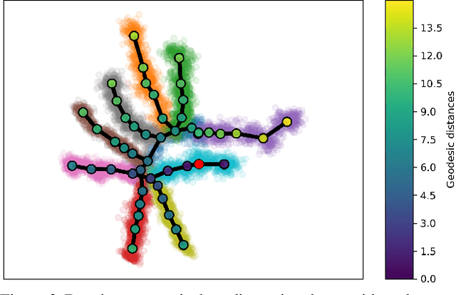 Figure 3 for Visualizing hierarchies in scRNA-seq data using a density tree-biased autoencoder