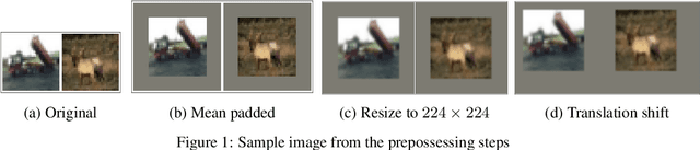 Figure 1 for Generalization to translation shifts: a study in architectures and augmentations