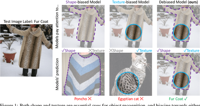 Figure 1 for Shape-Texture Debiased Neural Network Training