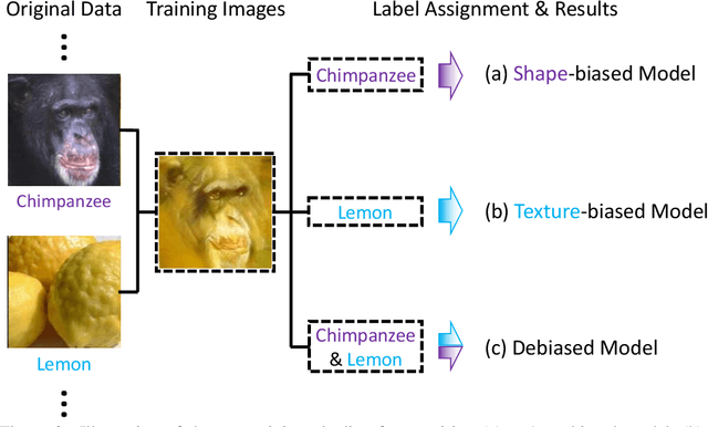 Figure 3 for Shape-Texture Debiased Neural Network Training