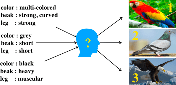 Figure 1 for Attribute Propagation Network for Graph Zero-shot Learning