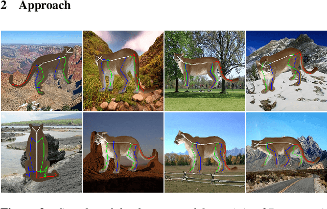 Figure 1 for ZooBuilder: 2D and 3D Pose Estimation for Quadrupeds Using Synthetic Data
