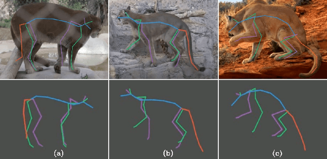 Figure 3 for ZooBuilder: 2D and 3D Pose Estimation for Quadrupeds Using Synthetic Data