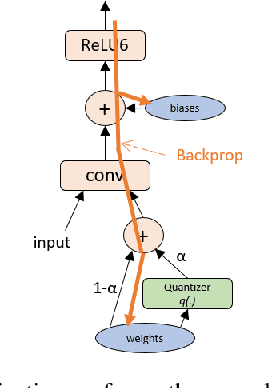 Figure 3 for Learning low-precision neural networks without Straight-Through Estimator(STE)