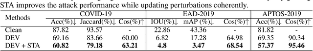 Figure 2 for Stabilized Medical Image Attacks