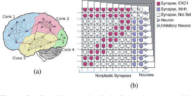 Figure 1 for Cortical-inspired placement and routing: minimizing the memory resources in multi-core neuromorphic processors
