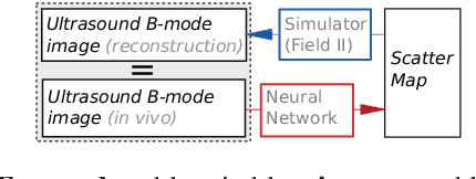 Figure 3 for SCATGAN for Reconstruction of Ultrasound Scatterers Using Generative Adversarial Networks