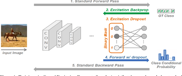 Figure 1 for Excitation Dropout: Encouraging Plasticity in Deep Neural Networks