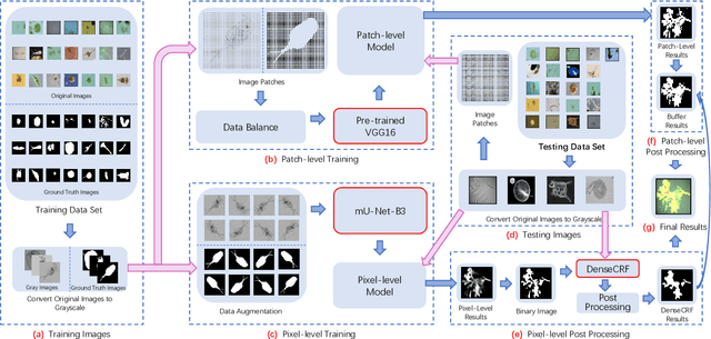 Figure 1 for A Multi-scale CNN-CRF Framework for Environmental Microorganism Image Segmentation