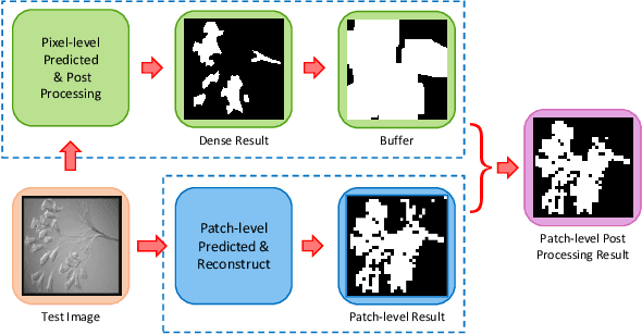 Figure 4 for A Multi-scale CNN-CRF Framework for Environmental Microorganism Image Segmentation