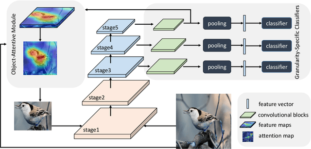 Figure 1 for Learning Granularity-Aware Convolutional Neural Network for Fine-Grained Visual Classification