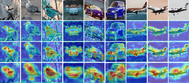 Figure 3 for Learning Granularity-Aware Convolutional Neural Network for Fine-Grained Visual Classification