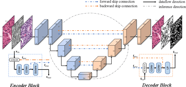 Figure 1 for BiO-Net: Learning Recurrent Bi-directional Connections for Encoder-Decoder Architecture