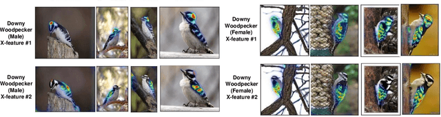 Figure 1 for From Heatmaps to Structural Explanations of Image Classifiers