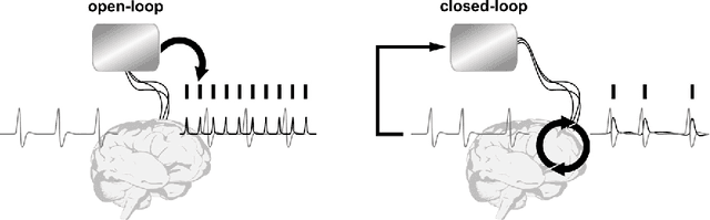 Figure 3 for Intelligent Biohybrid Neurotechnologies: Are They Really What They Claim?