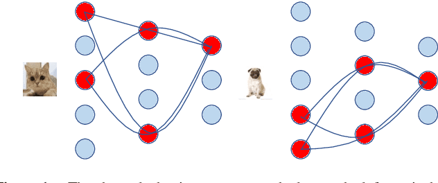 Figure 1 for DRNet: Dissect and Reconstruct the Convolutional Neural Network via Interpretable Manners