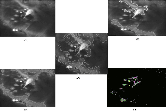 Figure 3 for An Automatic Seeded Region Growing for 2D Biomedical Image Segmentation