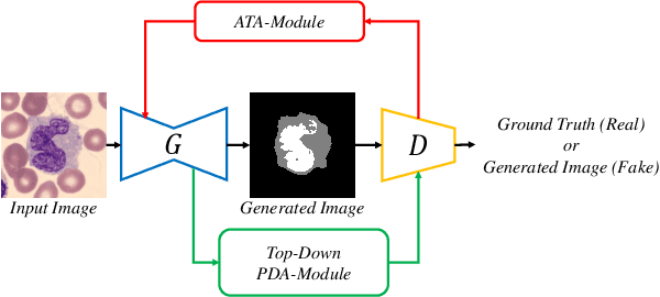 Figure 1 for Adversarial Mutual Leakage Network for Cell Image Segmentation