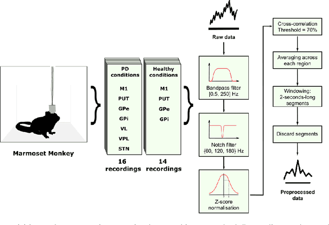 Figure 3 for A Data-Driven Biophysical Computational Model of Parkinson's Disease based on Marmoset Monkeys
