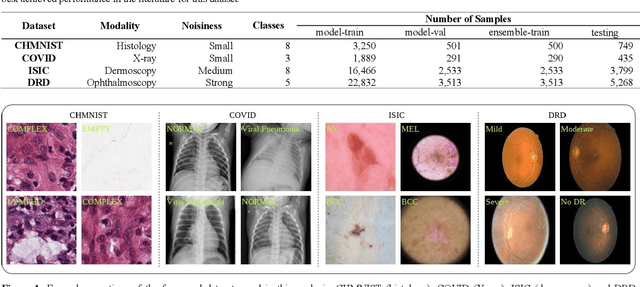 Figure 1 for An Analysis on Ensemble Learning optimized Medical Image Classification with Deep Convolutional Neural Networks