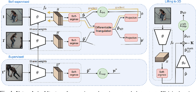 Figure 1 for On Triangulation as a Form of Self-Supervision for 3D Human Pose Estimation