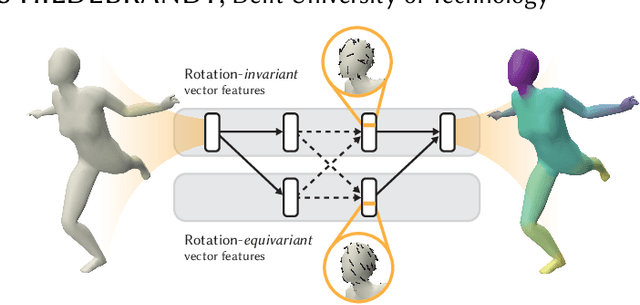 Figure 1 for CNNs on Surfaces using Rotation-Equivariant Features