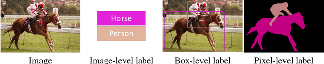 Figure 1 for Learning Semantic Segmentation with Diverse Supervision
