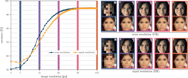 Figure 1 for Image Resolution Susceptibility of Face Recognition Models